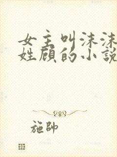 女主叫沫沫男主姓顾的小说