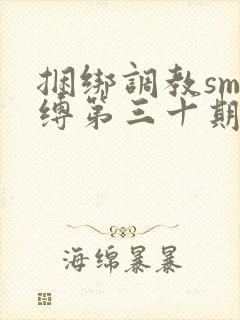 捆绑调教sm束缚第三十期封面