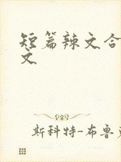 短篇辣文合集h文