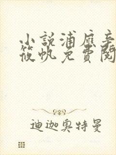 小说浦应辛和林筱帆免费阅读全文封面