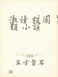 激情 校园 另类 小说