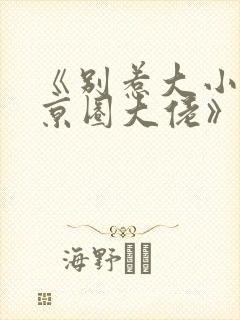 《别惹大小姐她京圈大佬》免费阅读封面