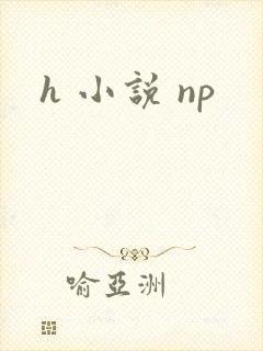 h 小说 np