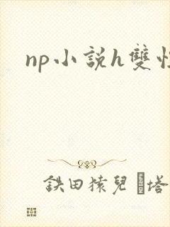 np小说h双性