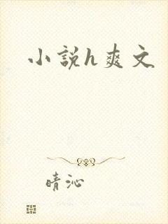 小说h爽文