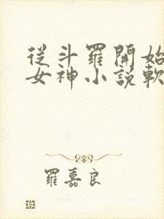 从斗罗开始俘获女神小说软件