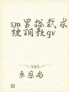 sm男总裁求着被调教gv封面