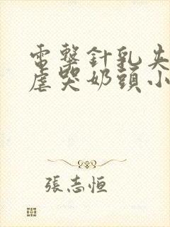 电击针乳夹虐奶虐哭奶头小说