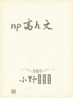 np高h文封面