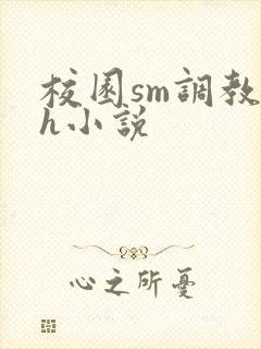 校园sm调教高h小说