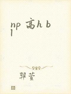 np 高h bl封面
