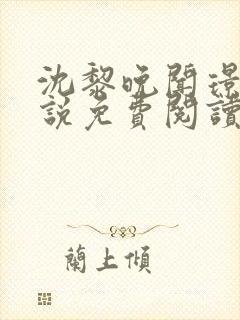 沈黎晚闻璟川小说免费阅读最新章节