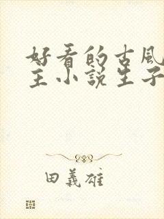 好看的古风双男主小说生子封面