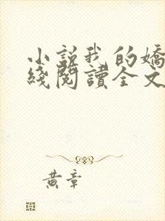 小说我的娇妻在线阅读全文