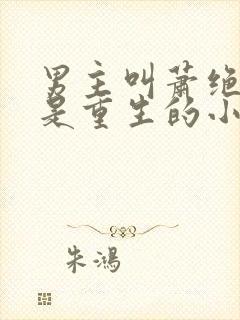 男主叫萧绝女主是重生的小说