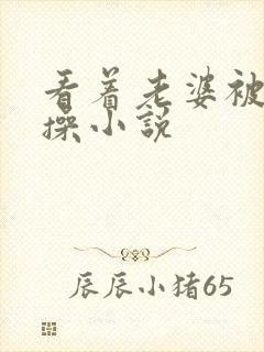 看着老婆被别人操小说