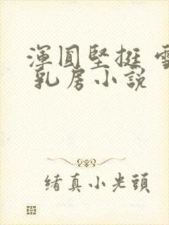 浑圆坚挺 雪白 乳房小说