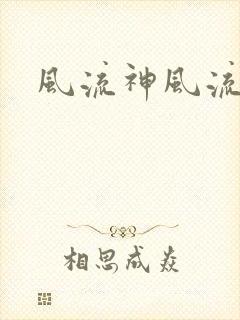 风流神风流记封面