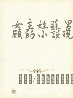 女主姓苏男主姓顾的小说现代言情