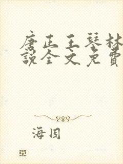 唐正王琴林媛小说全文免费阅读