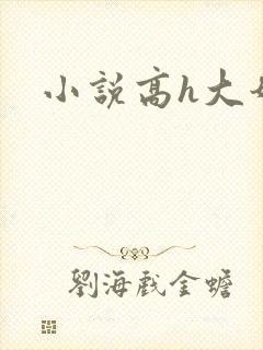 小说高h大奶封面