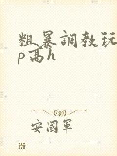 粗暴调教玩弄np高h