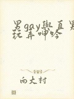 男gay与直男玩弄呻吟