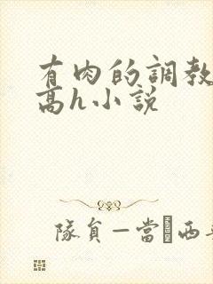 有肉的调教np高h小说封面