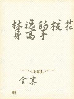 林逸的校花的贴身高手