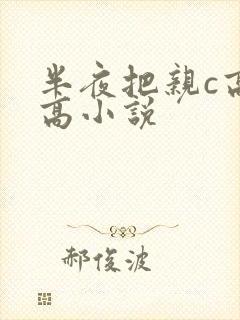 半夜把亲c高潮高小说