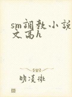 sm调教小说辣文高h