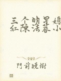 三个明星媳妇陈红陈法蓉小说