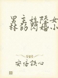 男主姓陆女主姓林的闪婚小说