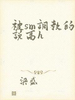 被sm调教的小说高h