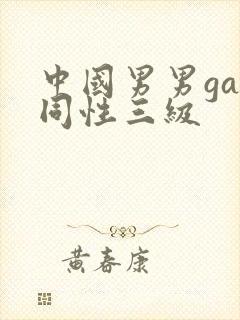 中国男男gay同性三级