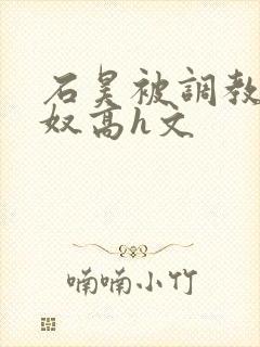 石昊被调教成肉奴高h文