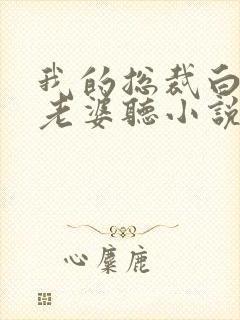 我的总裁白富美老婆听小说封面