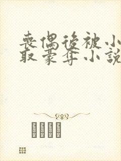 丧偶后被小叔强取豪夺小说封面