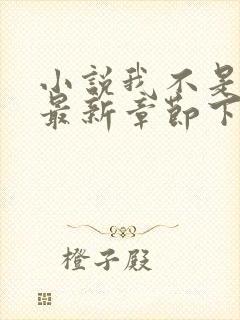 小说我不是戏神最新章节下载