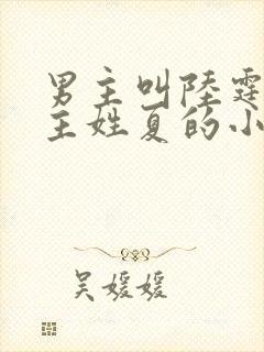 男主叫陆霆琛女主姓夏的小说