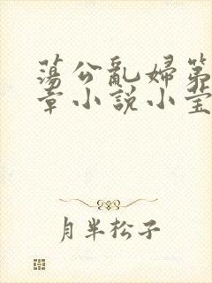 荡公乱妇第51章小说小莹封面