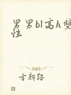 男男bl高h双性封面