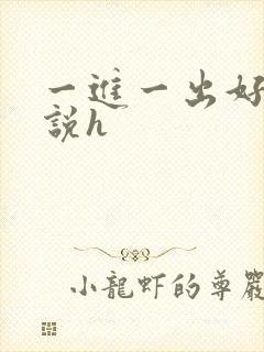 一进一出好爽小说h