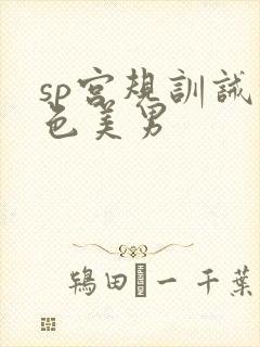 sp宫规训诫绝色美男