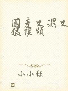 国产又湿又爽又猛视频