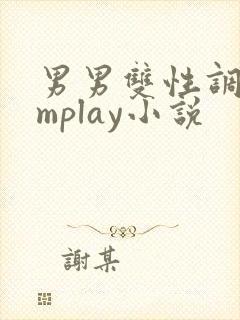 男男双性调教smplay小说