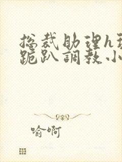 总裁助理h玩弄跪趴调教小说封面