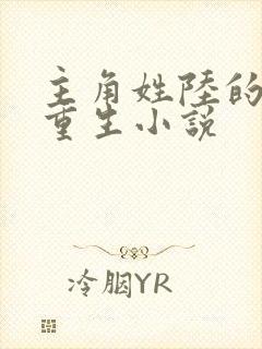 主角姓陆的都市重生小说