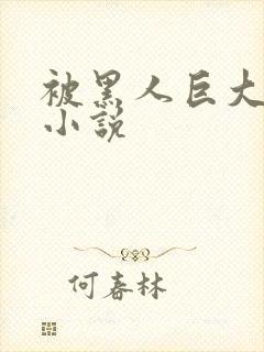 被黑人巨大进入小说