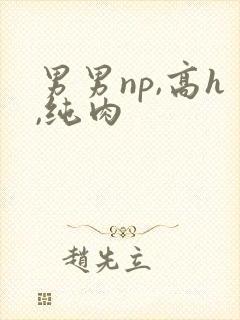 男男np,高h,纯肉